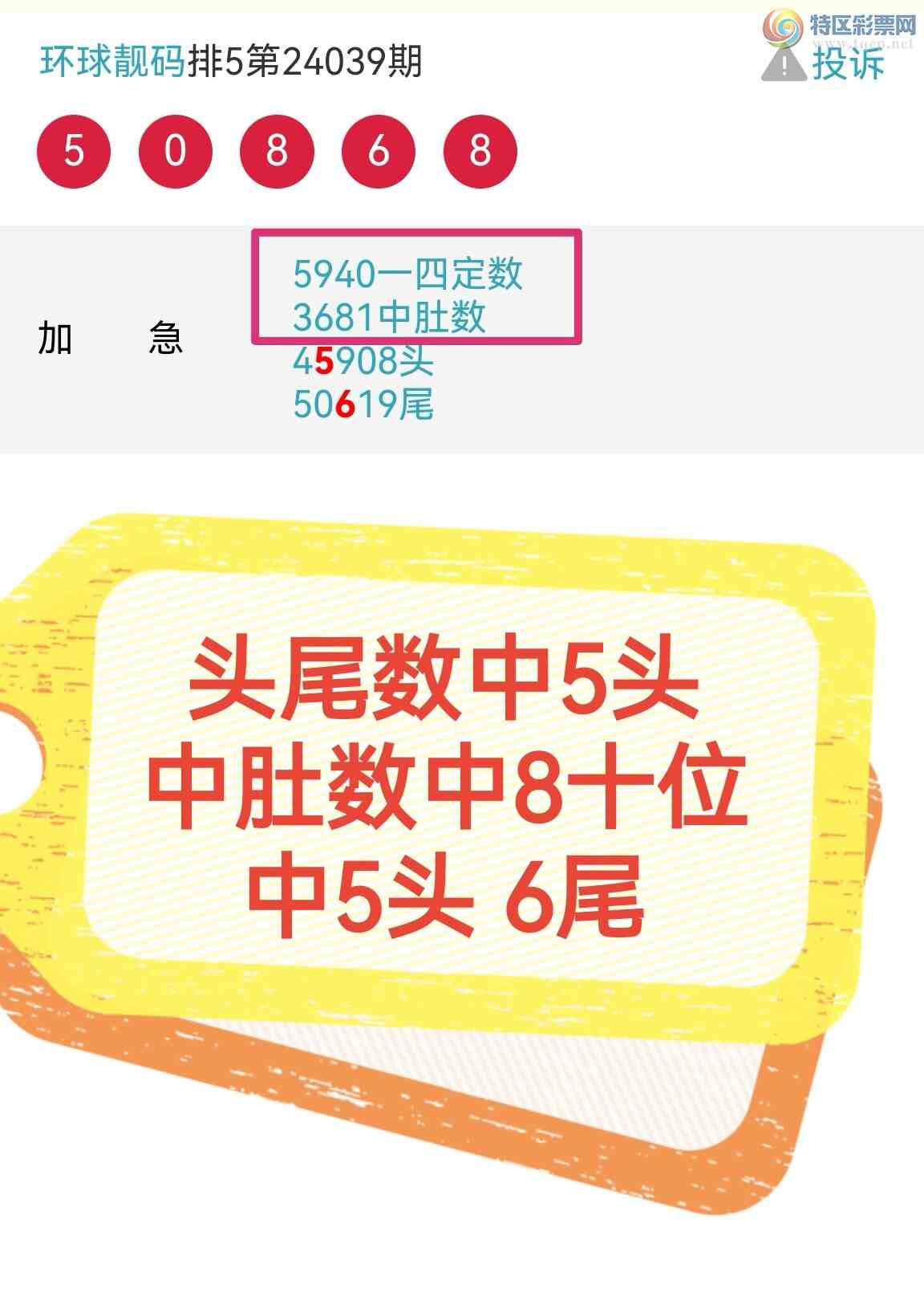 24046ڣͷβ ж ɣ5ͷ5βΪרҵֵӵУͼ桿277 / :100 / ID:823462