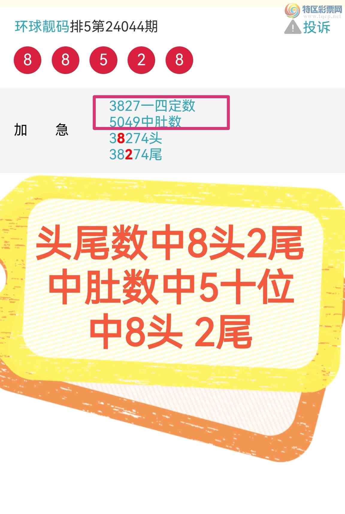 24046ڣͷβ ж ɣ5ͷ5βΪרҵֵӵУͼ桿279 / :100 / ID:823462