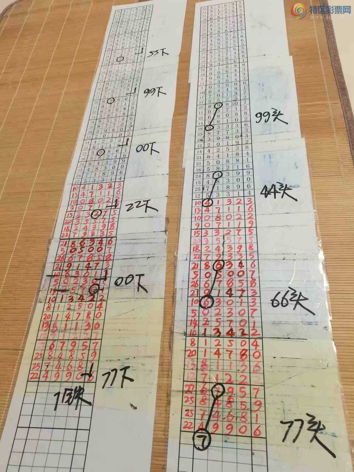 [������] 24336�ڣ�ɽ������������ɸ��������ô�Ҳο���ͼ�桿668 / ����:ɽ���� / ����ID:976807