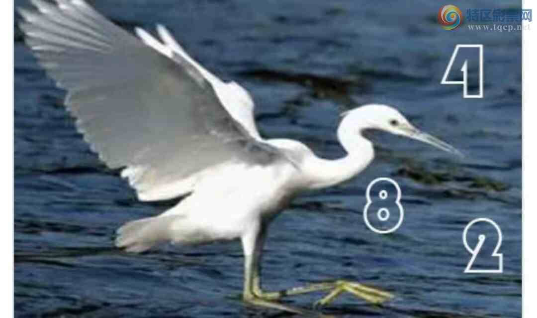 [3D] 24338ڣ¶ 3DͼƼ430 / :¶ / ID:978047