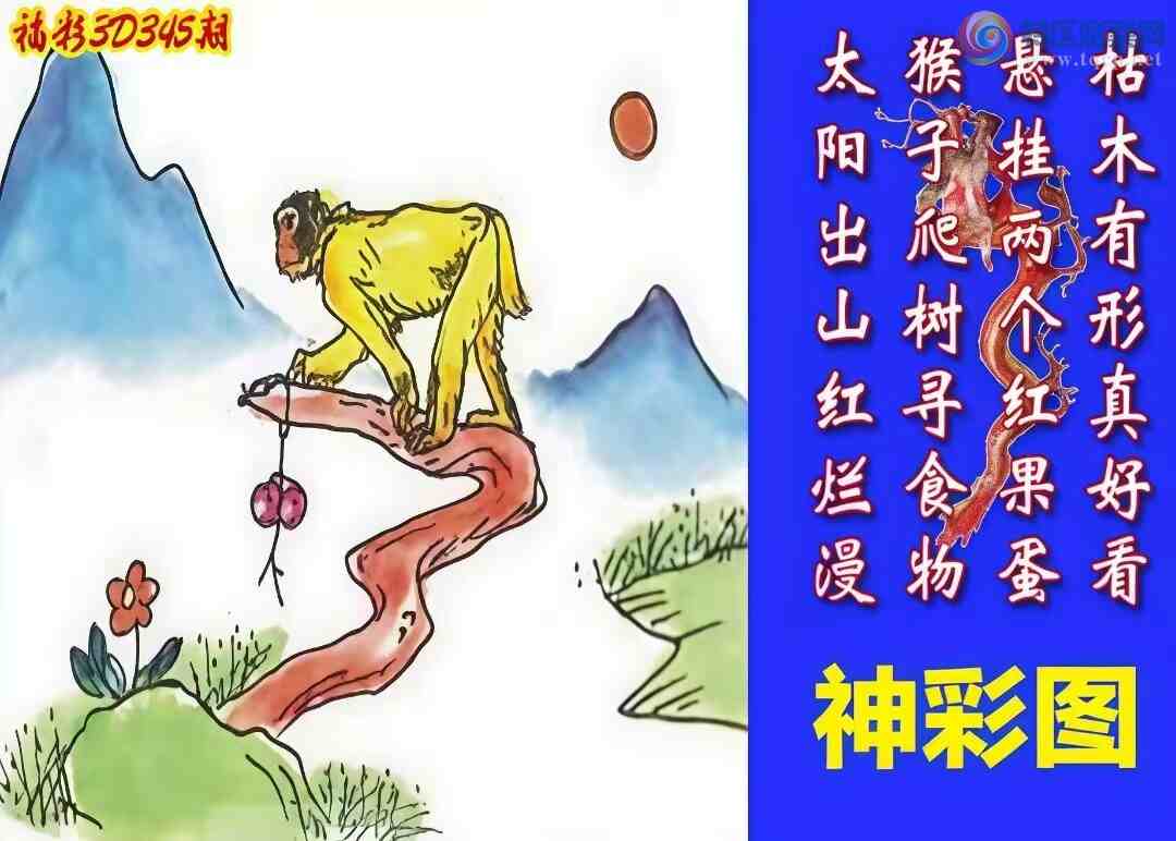 [����3D] 24345�ڣ�����3D�䳲�䵨�����ա�698 / ����:����� / ����ID:981897