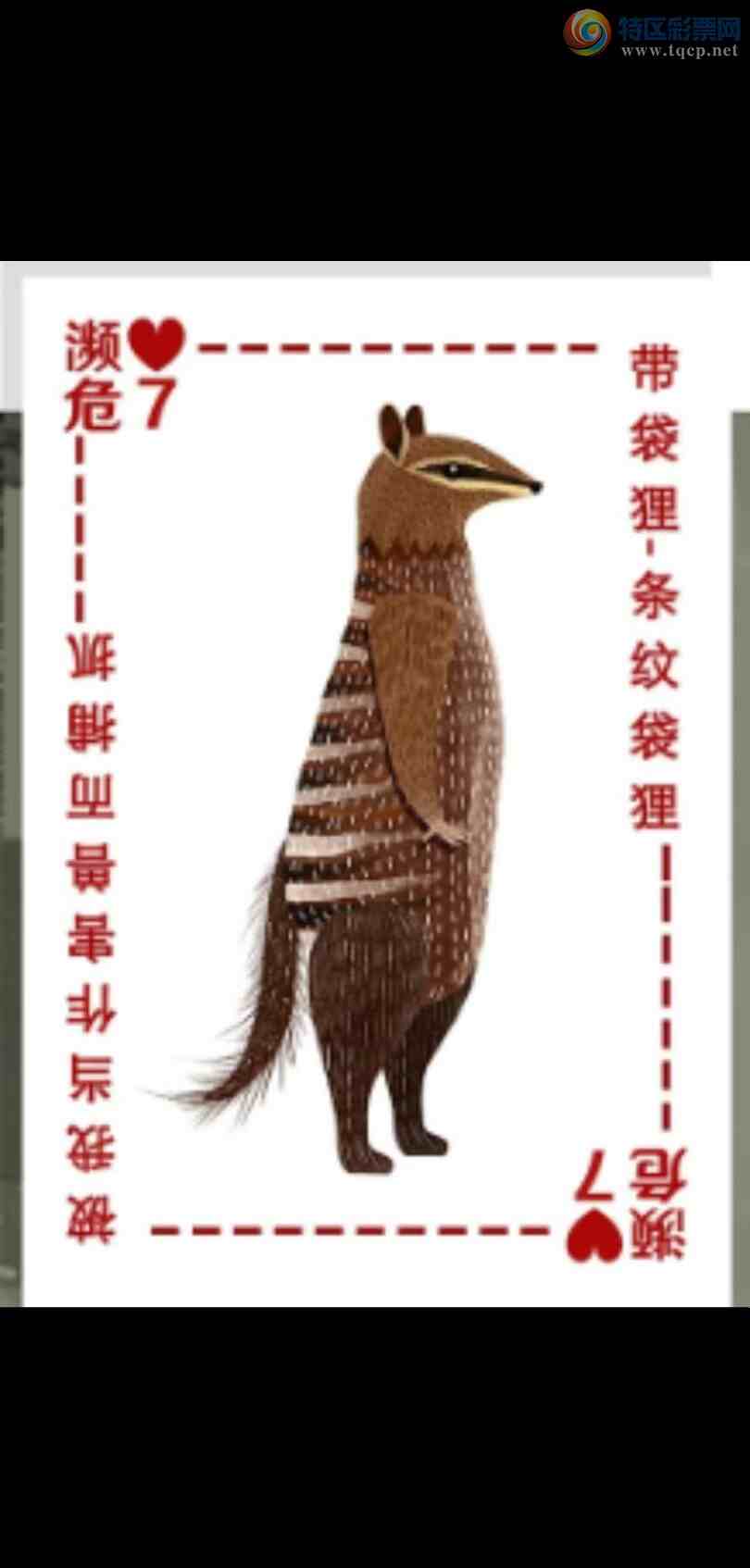 [����3D] 24346�ڣ��嵨:02467���ܵ��롾���ա�536 / ����:�¸���ǰ_ / ����ID:982274