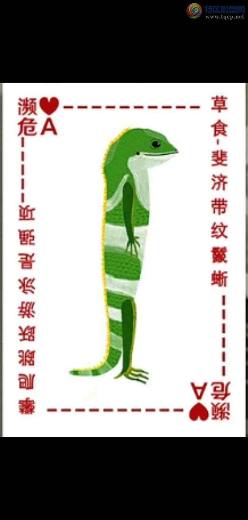 [����3D] 243450�ڣ��ٲ��ɸ������ա�289 / ����:�ǿ��Ƽ� / ����ID:984385