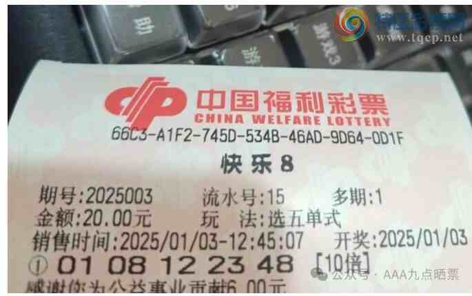 [����8] 25003�ڣ��λس��� ѡ�嵥ʽ394 / ����:�λس��� / ����ID:987356