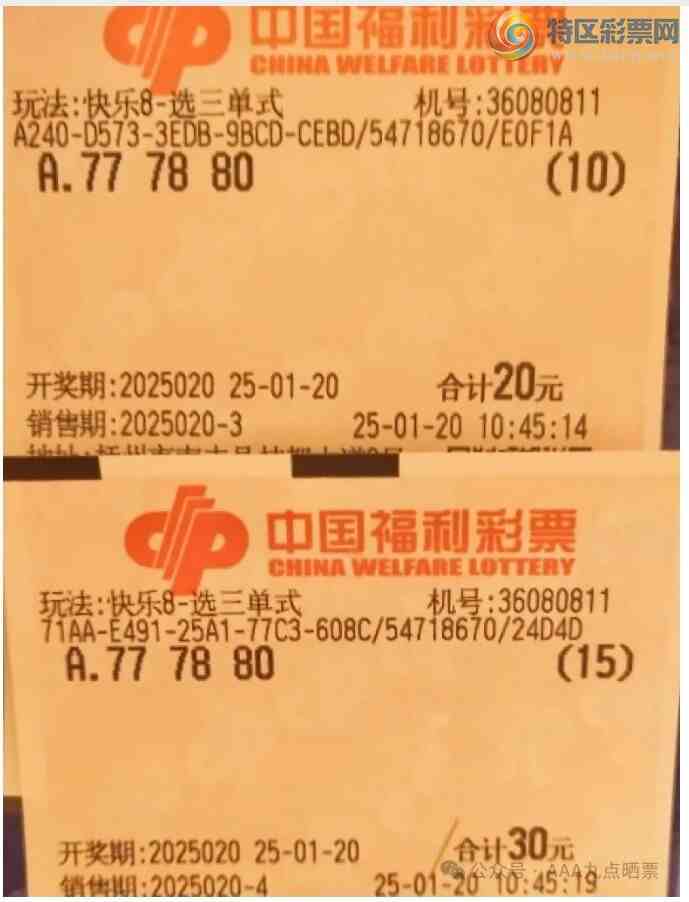 [����8] 25020�ڣ�������̦ ѡ����ʽ797 / ����:������̦ / ����ID:996739