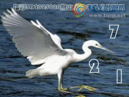 [����3D] 25020�ڣ��ص������ο�654/303/951�����ա�908 / ����:������ / ����ID:996748