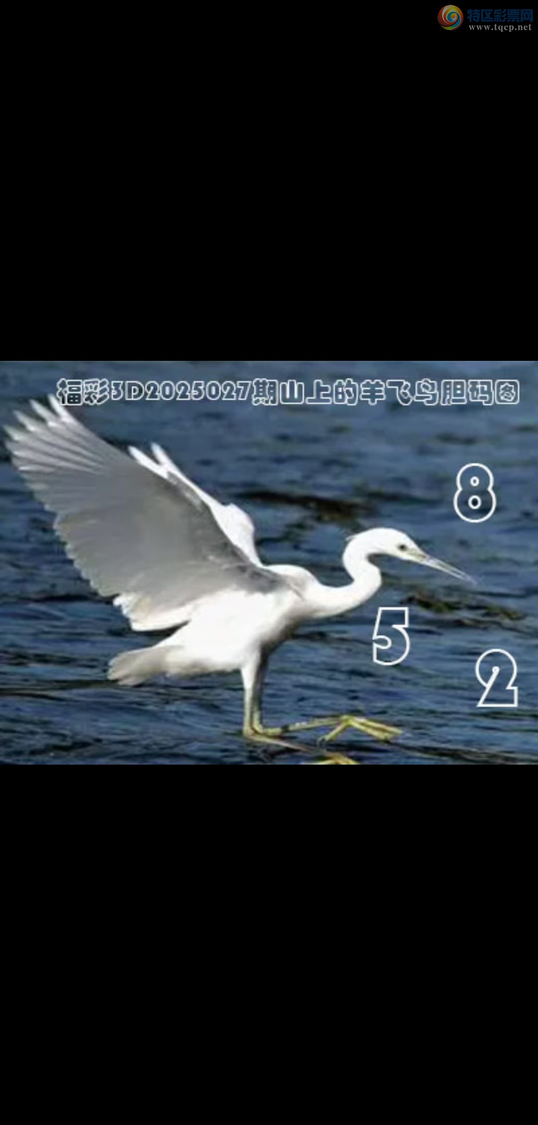 [3D] 25027ڣ:257 :2ա260 / : / ID:1000614