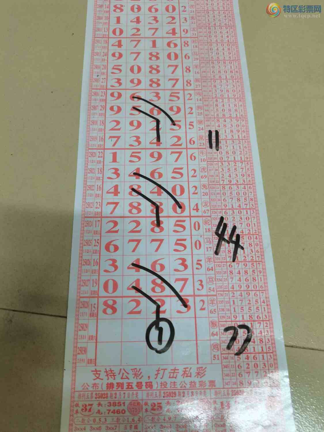 [] 25029ڣɽɸôҲοͼ桿54 / :ɽ / ID:1001550