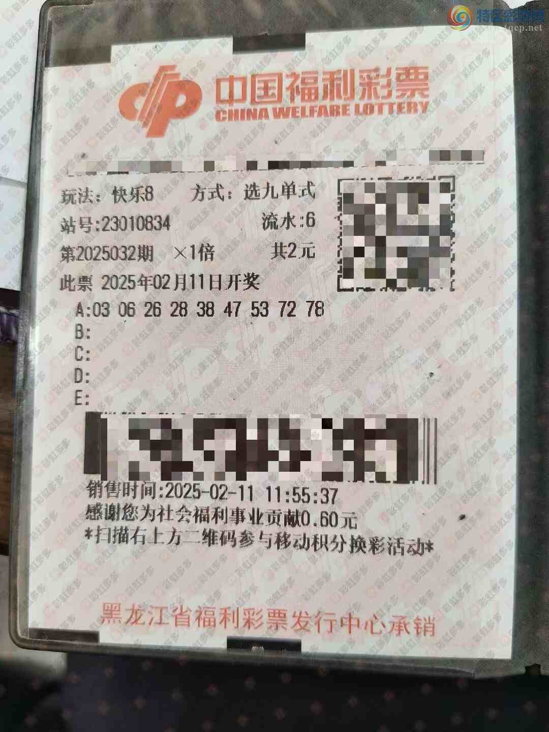 [����8] 25032�ڣ����ڵ�ʽ�����Ƽ� ����137 / ����:������̦ / ����ID:1003306
