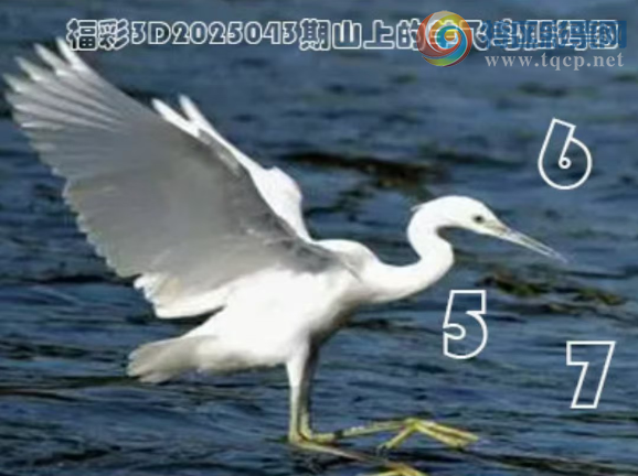[����3D] 25043�ڣ���һ��7�����ա�866 / ����:ѩ������ / ����ID:1009144