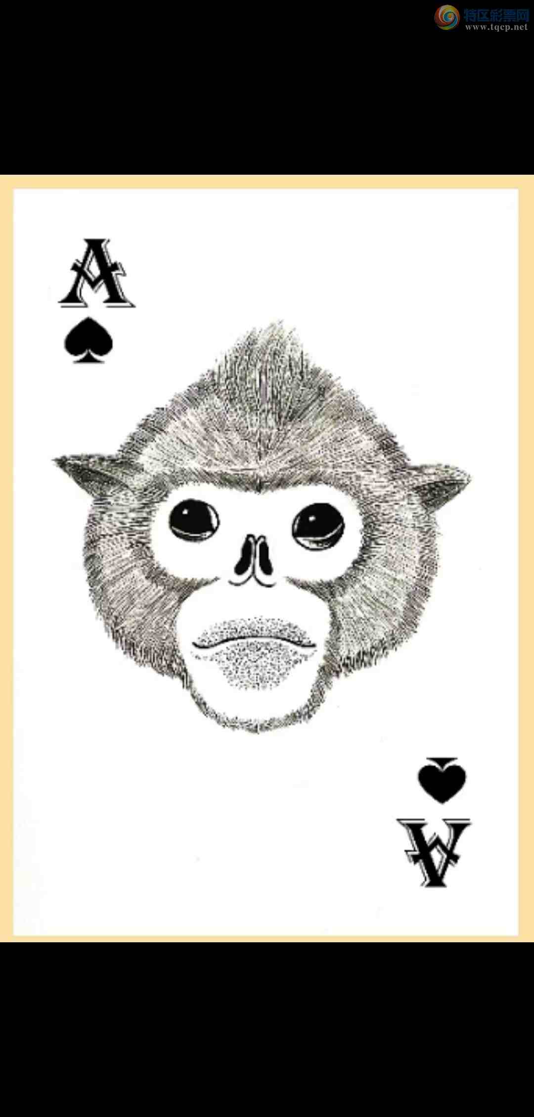 [3D] 25069ڣ3D 2025-069  쳾µա542 / : / ID:1023565