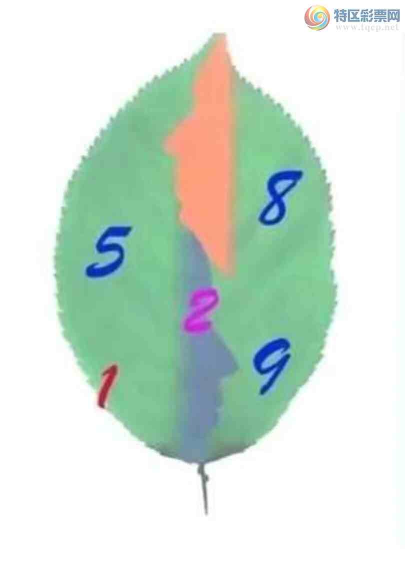 [3D] 25090ڣǮһԣդΡա359 / :ҹմ / ID:1035276