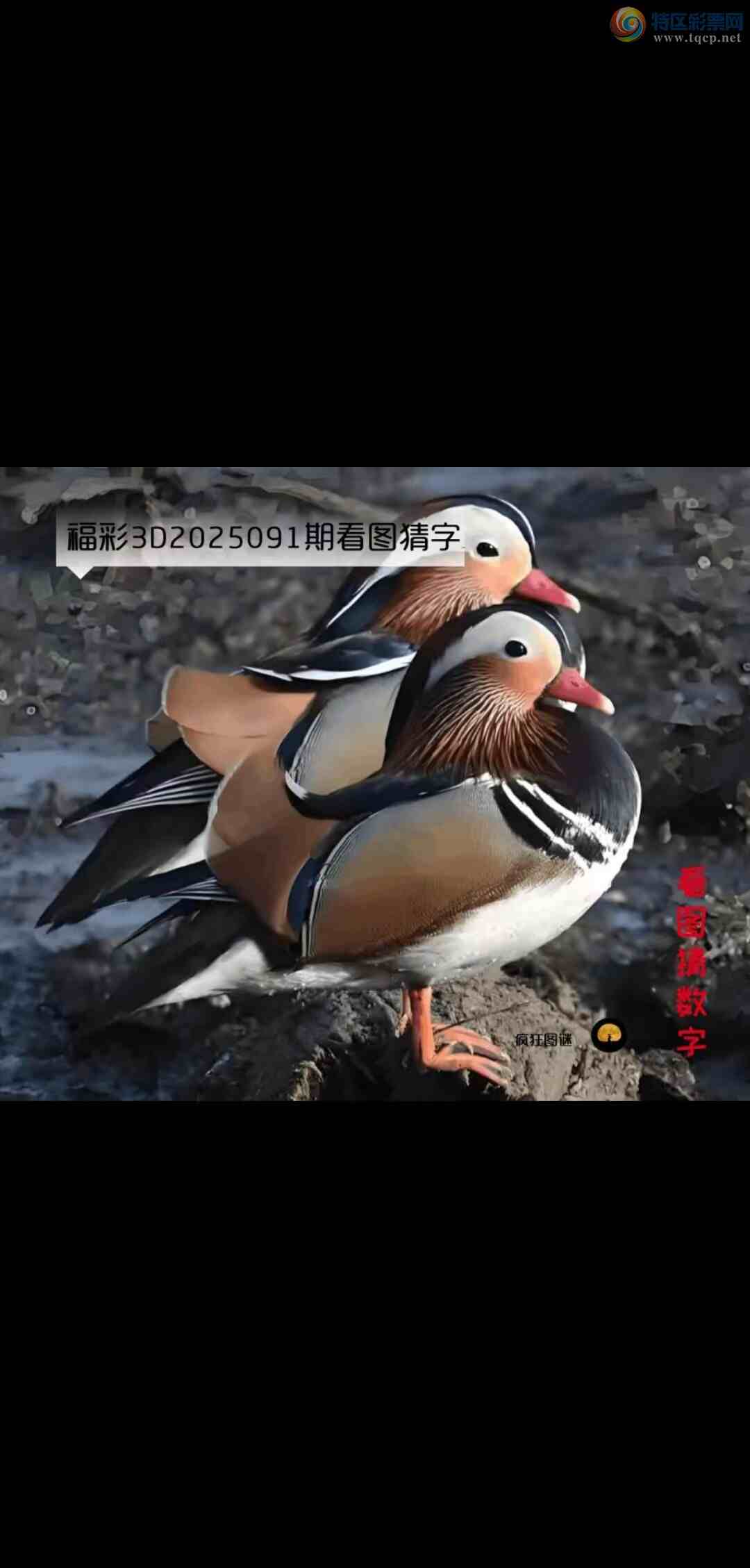 [����3D] 25091�ڣ���� ���� ���ָ��֡����ա�248 / ����:������ϰ� / ����ID:1035848