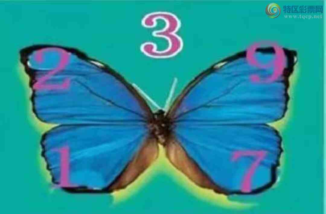 [3D] 25096ڣͭǮ룬ɫա357 / :ɭտ / ID:1038599