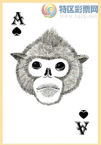 [����3D] 25096�ڣ�����3D�� 2025096������ļ������ա�54 / ����:������ϰ� / ����ID:1038609