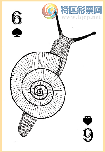 [3D] 25098ڣһ6ա675 / :¸ǰ_ / ID:1039612