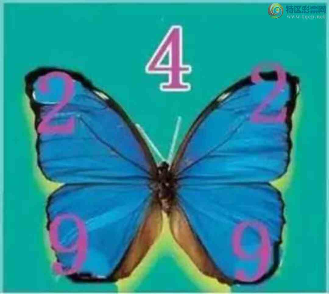 [3D] 25101ڣǮԪ.ա363 / :¸ǰ_ / ID:1041475