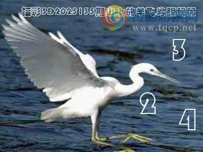 [3D] 25135ڣ ǽԷա255 / :ҹմ / ID:1061465