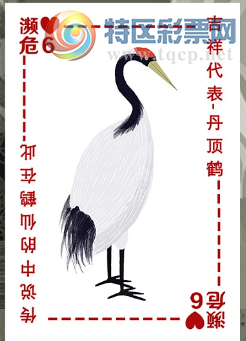 [3D] 25135ڣ ǽԷա34 / :ҹմ / ID:1061465