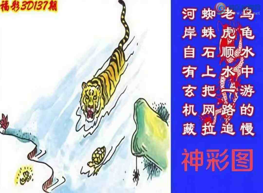 [����3D] 25137�ڣ�֩��ʯ�ϰ����� �ϻ�˳ˮһ·׷�����ա�538 / ����:�������� / ����ID:1062724