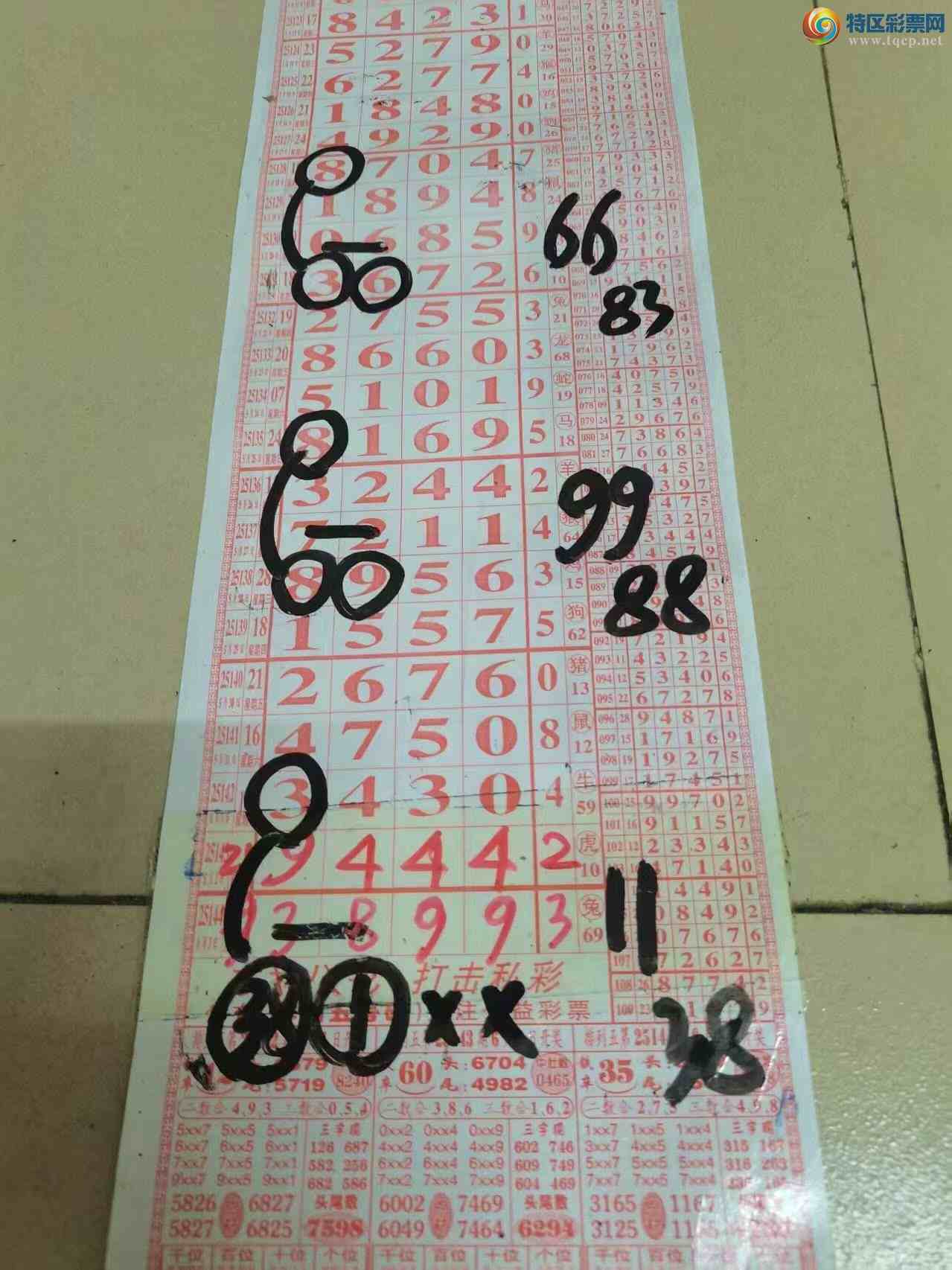 [������] 25145�ڣ�ɽ����������Ӽ��з�Χ���3899704 / ����:ɽ���� / ����ID:1067241
