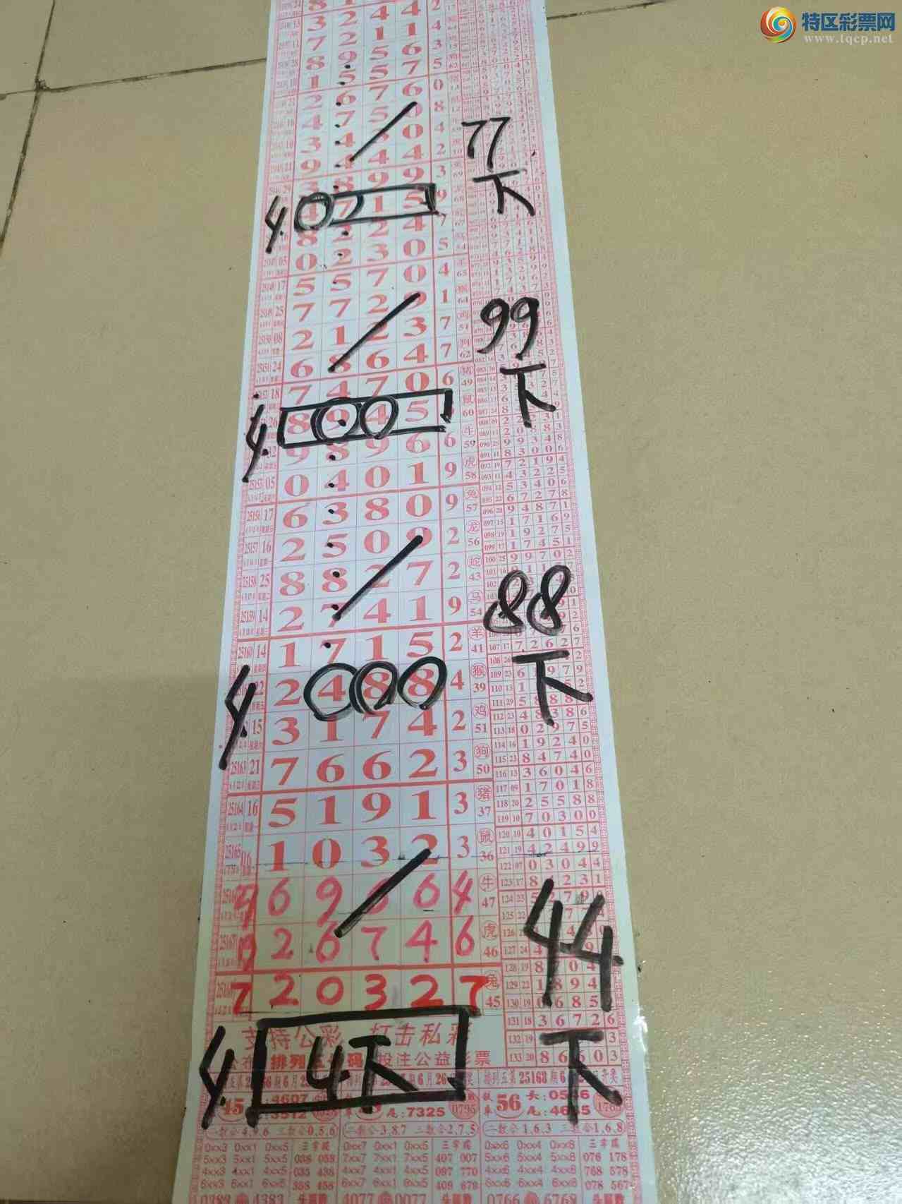 [] 25169ڣɽӼͷβ36飬3ԡͼ桿858 / :ɽ / ID:1081852