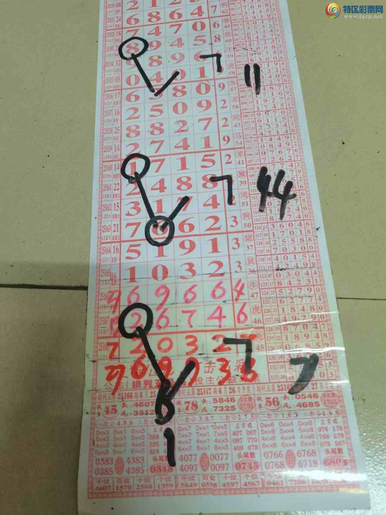 [] 25170ڣɽɸôҲοͼ桿23 / :ɽ / ID:1082464