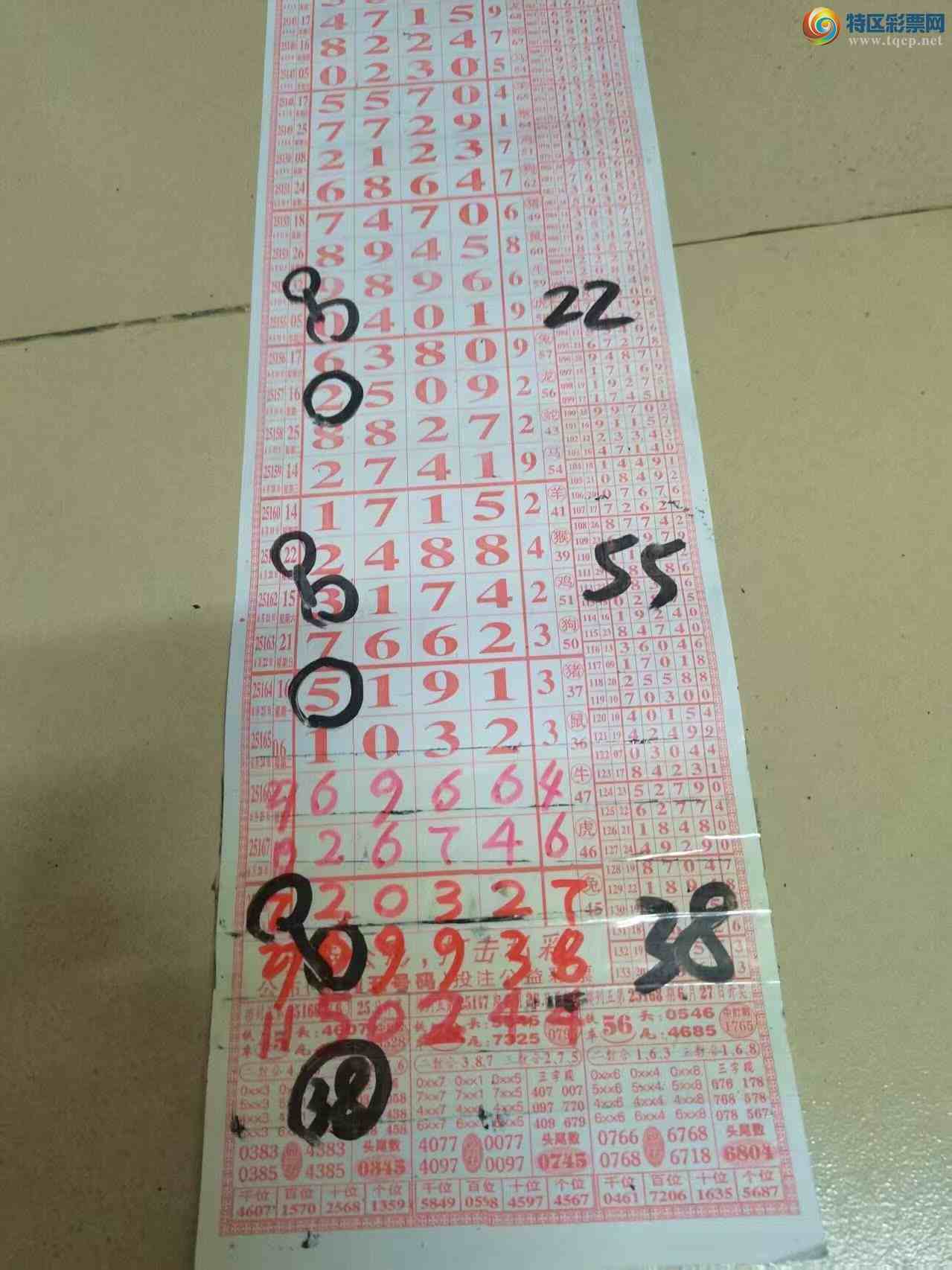 [������] 25171�ڣ�ɽ������������ɸ��������ô�Ҳο���ͼ�桿894 / ����:ɽ���� / ����ID:1082925