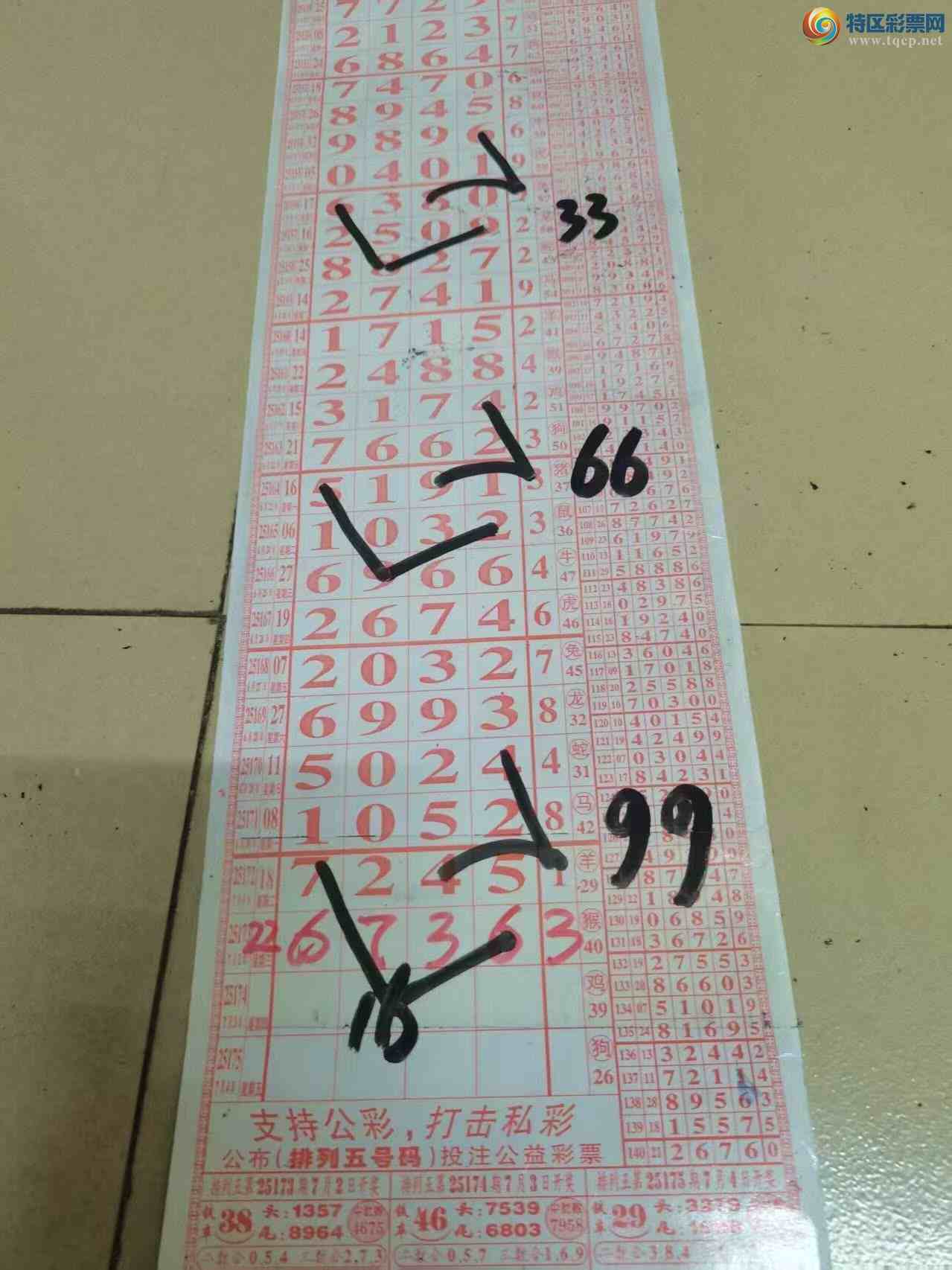 [] 25174ڣɽӼͷβ36飬27ԡͼ桿555 / :ɽ / ID:1084956