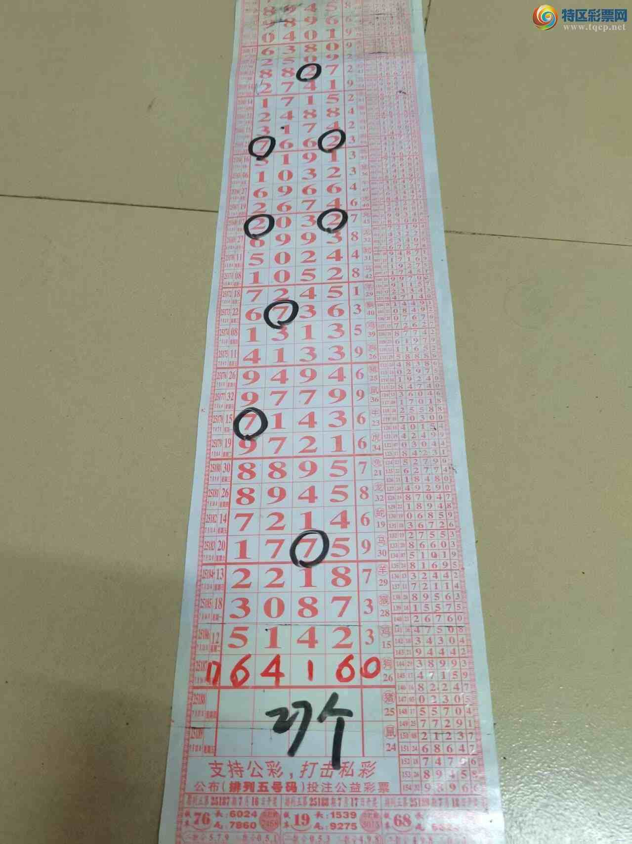 [] 25188ڣɽɸôҲοͼ桿276 / :ɽ / ID:1093253