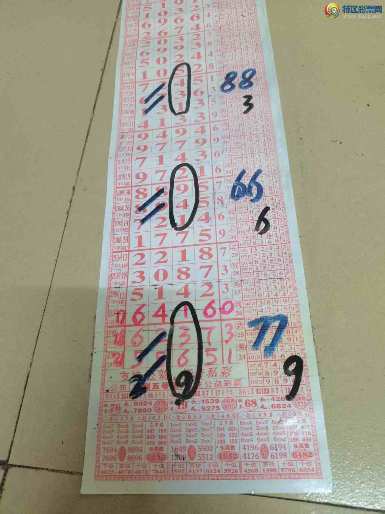 [] 25190ڣɽɸôҲοͼ桿565 / :ɽ / ID:1094362