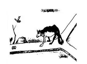 [����3D] 25191�ڣ��ع�����ɱ6�����ա�528 / ����:ɭ�����տ� / ����ID:1095062