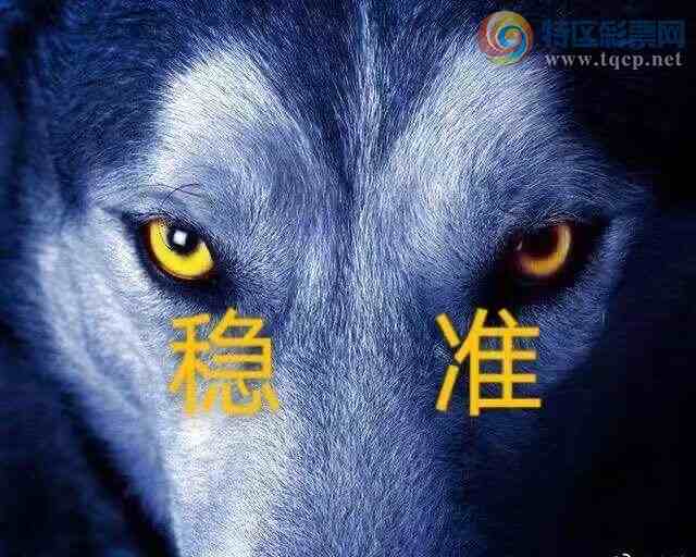 [] 25203ڣɱͷӼС2xx'725x7686 / :ʮ˹ / ID:1101737