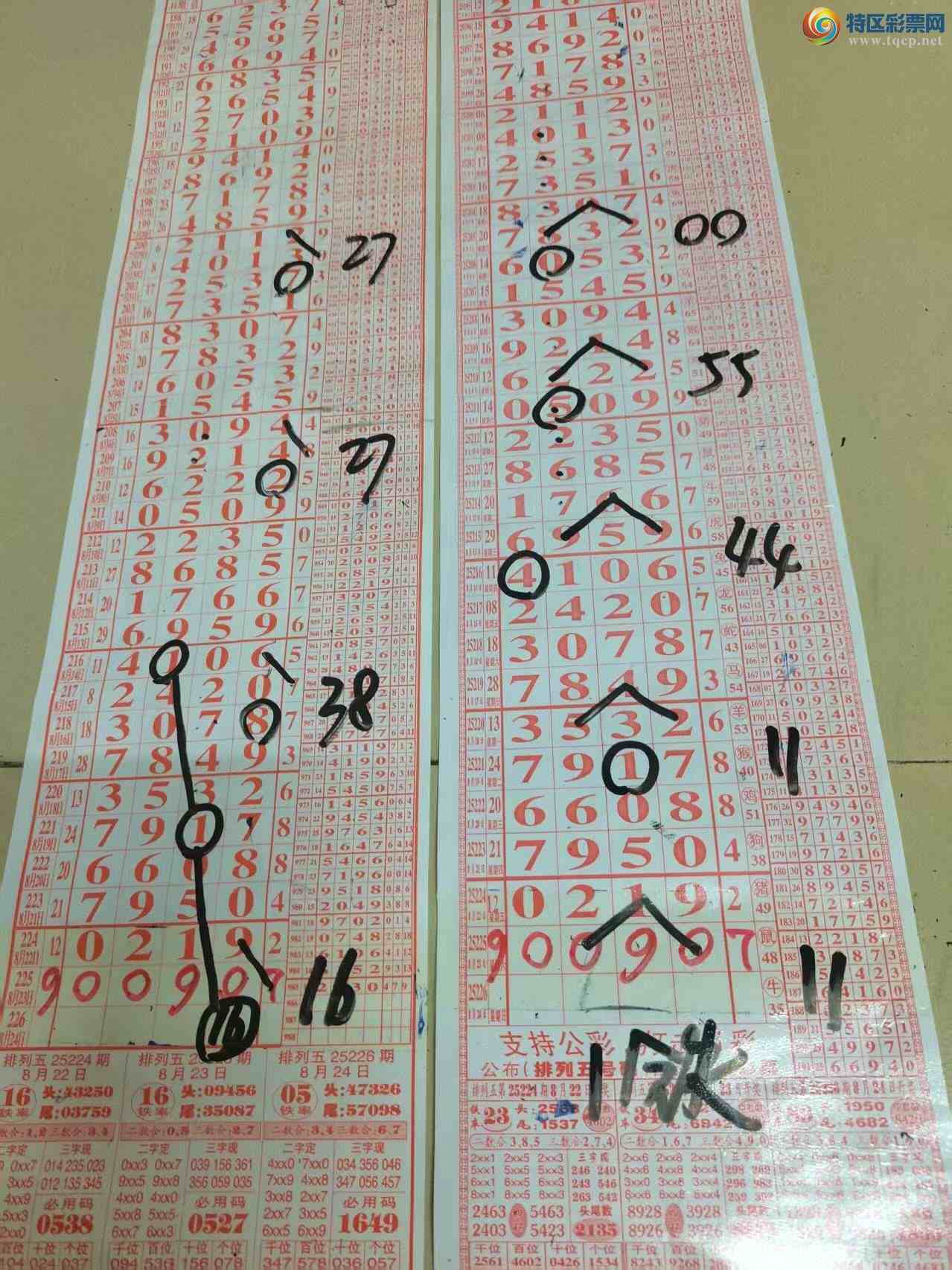 [] 25226ڣɽɸôҲο[ͼ]134 / :ɽ / ID:1115866