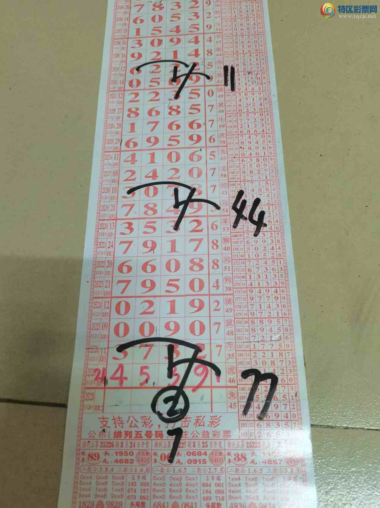 [] 25228ڣɽɸôҲοͼ桿999 / :ɽ / ID:1117058