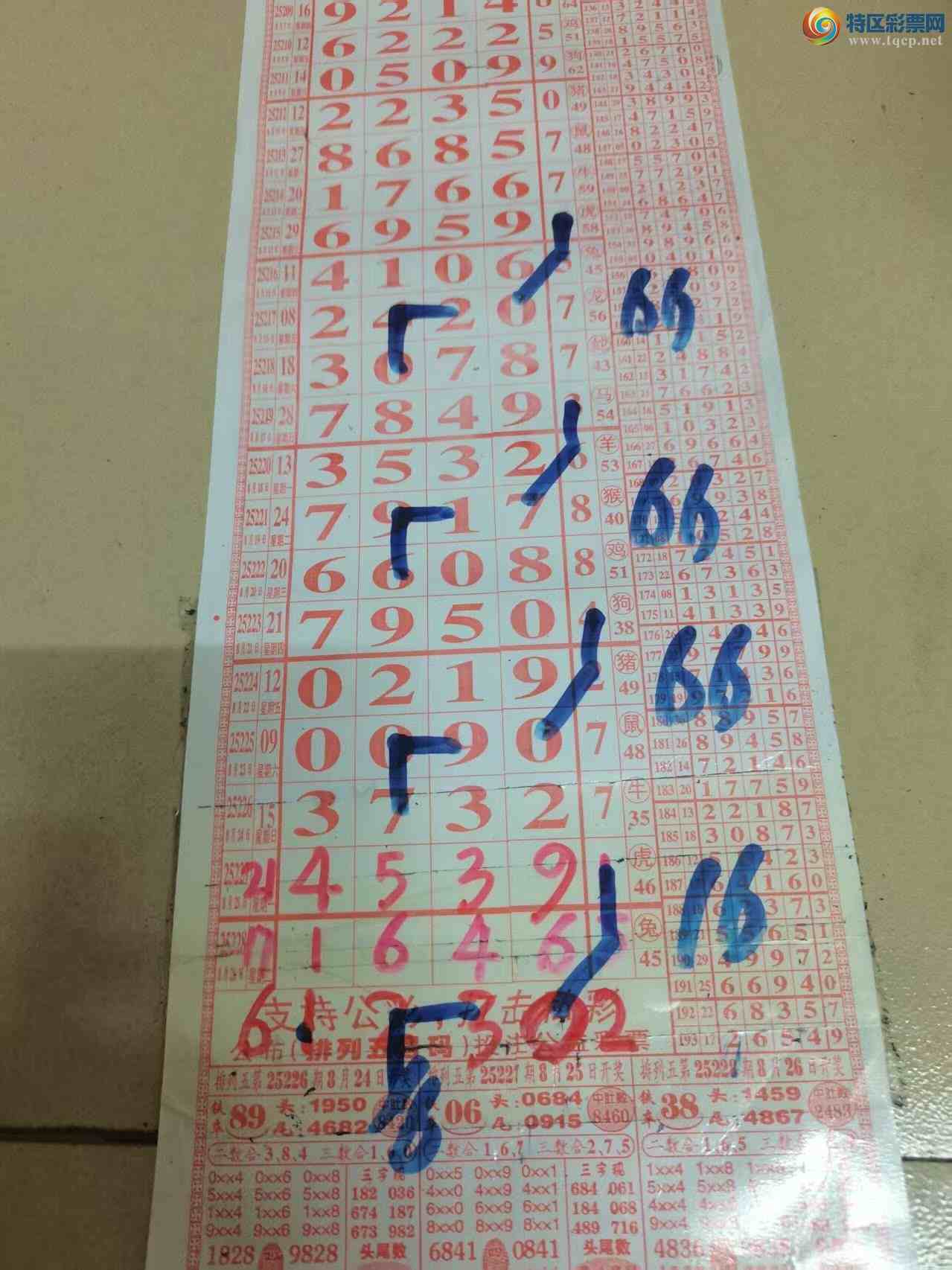 [] 25230ڣɽɸôҲοͼ桿11 / :ɽ / ID:1118310