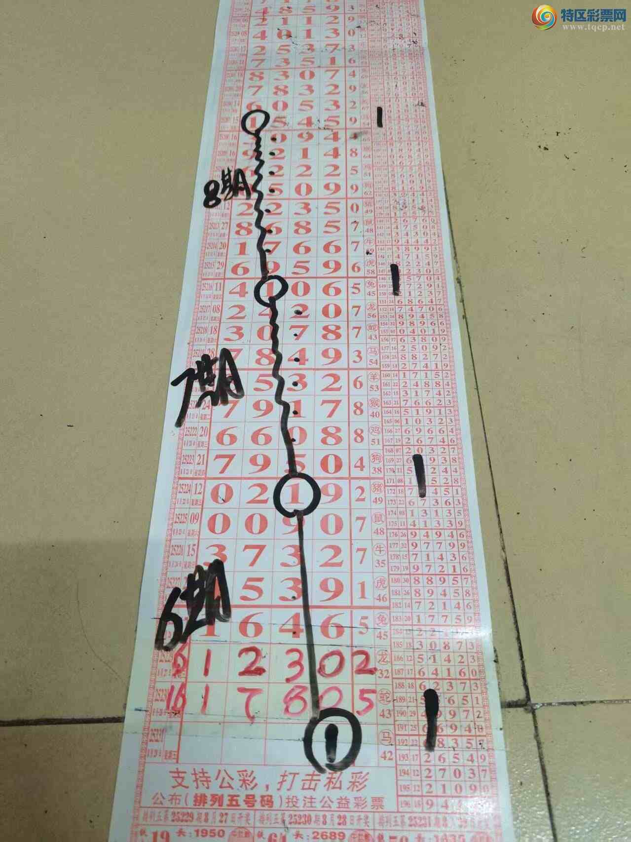 [] 25231ڣɽɸôҲοͼ桿495 / :ɽ / ID:1118882