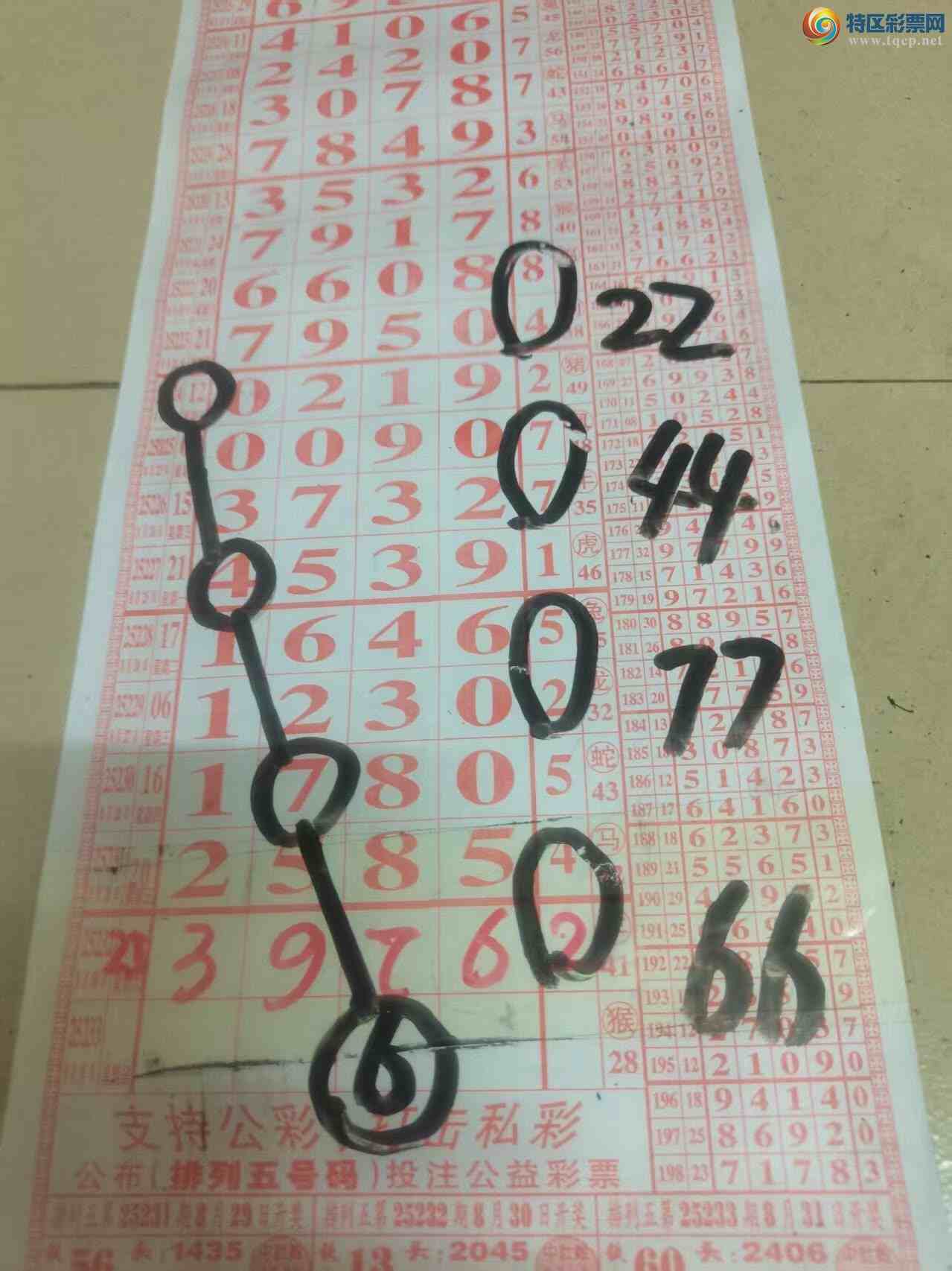 [] 25233ڣɽɸôҲοͼ桿596 / :ɽ / ID:1120020