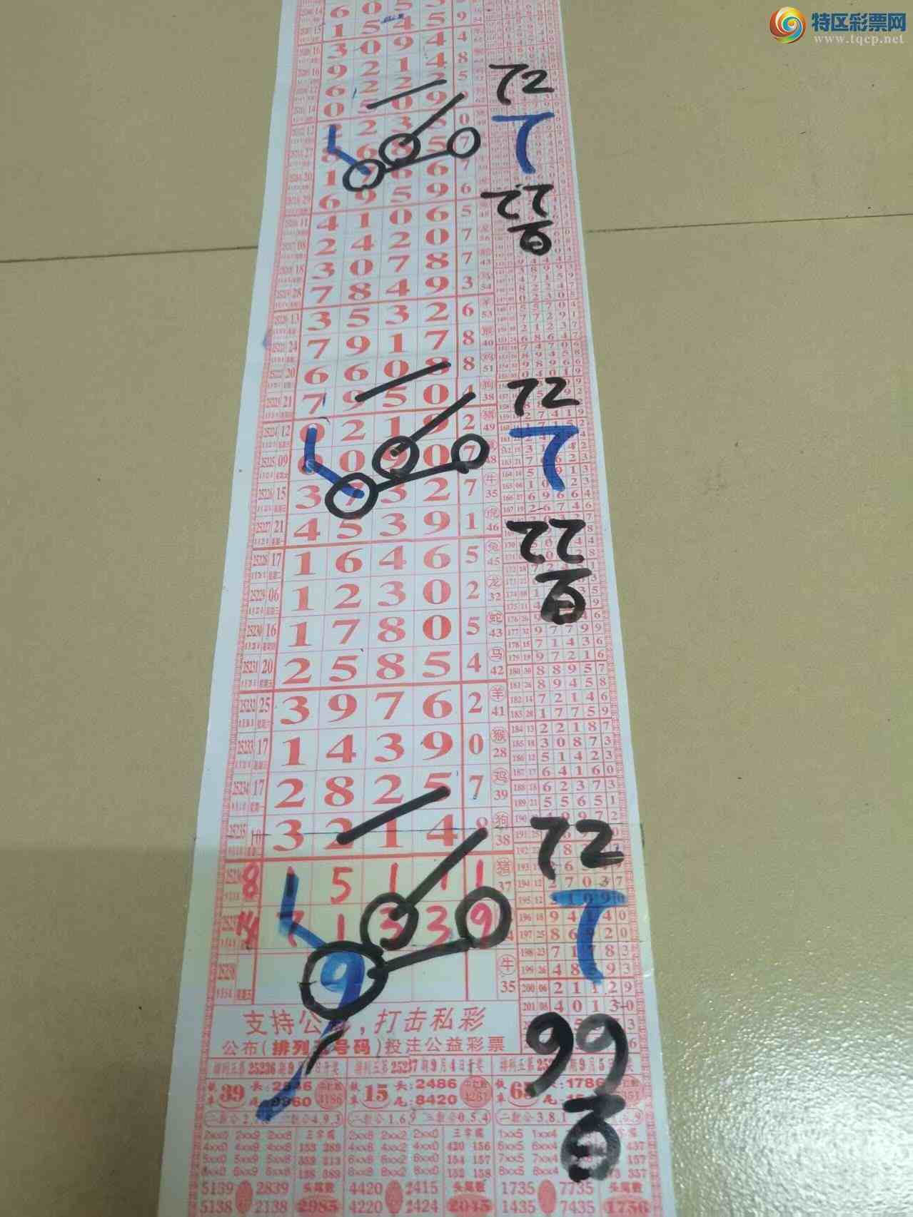 [] 25238ڣɽӼзΧ󽱡ͼ桿527 / :ɽ / ID:1122845