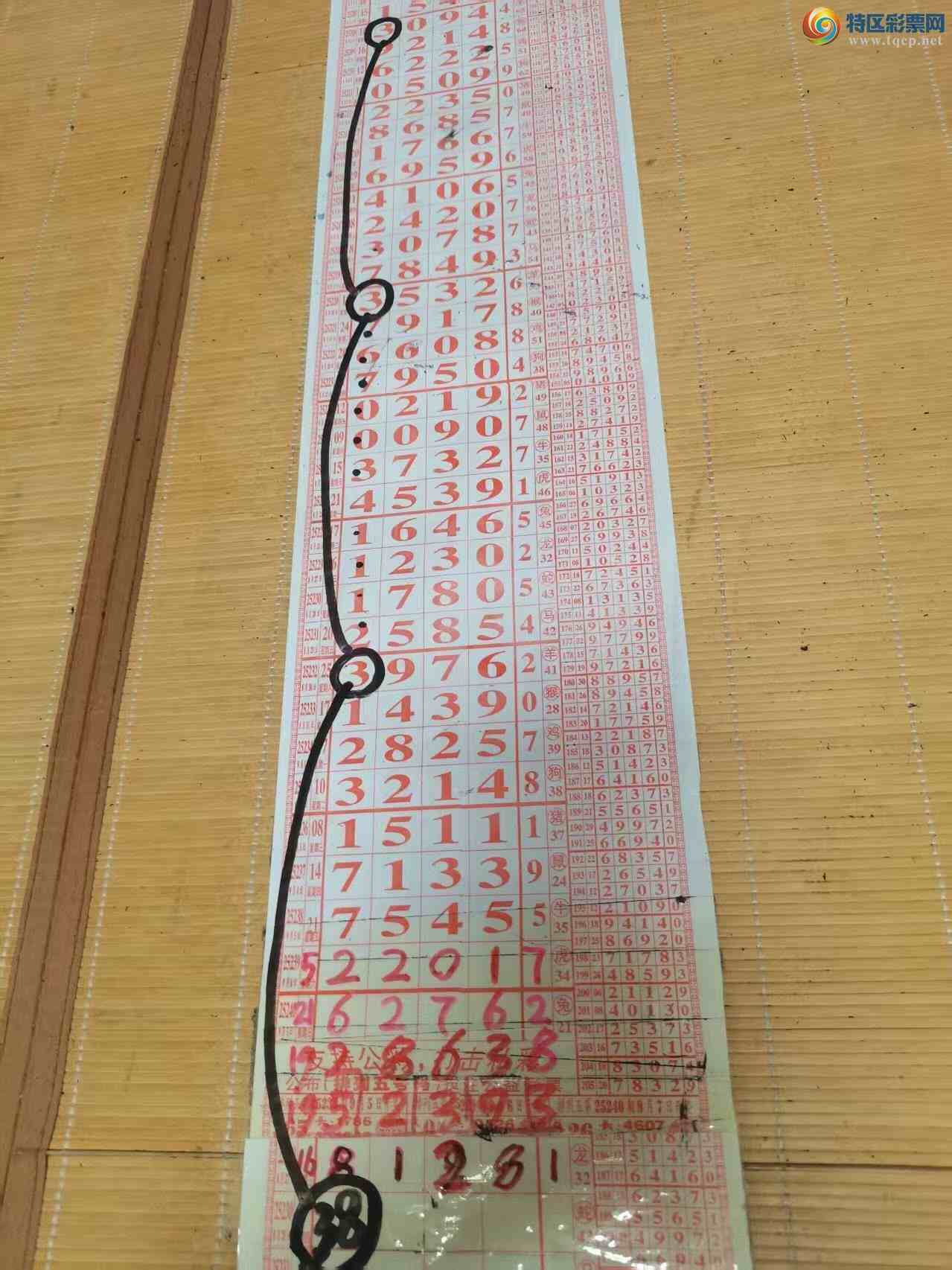 [] 25244ڣɽɸôҲοͼ桿475 / :ɽ / ID:1126613