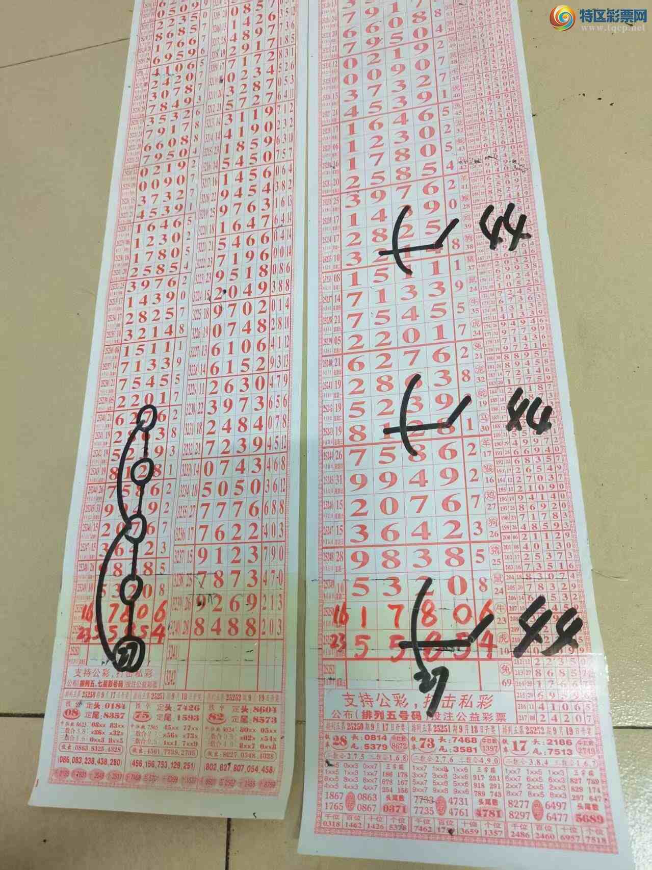 [] 25252ڣɽӼͷβ36顾ͼ桿509 / :ɽ / ID:1131043