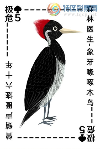 [3D] 25307ڣ˳塾ա607 / :ˮ / ID:1163527