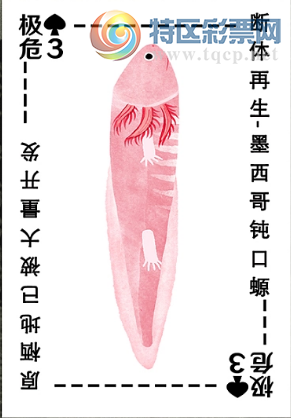 [����3D] 25319�ڣ����ľ����δȻ ӥ�����ȷ���������ա�11 / ����:��ˮ���� / ����ID:1170572