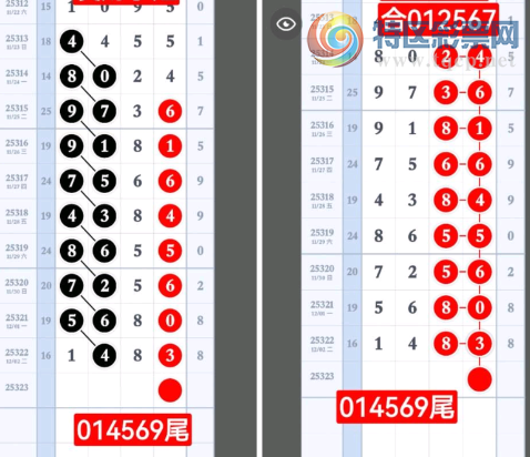 [] 25323ڣжƼͼ桿688 / :2019 / ID:1172891