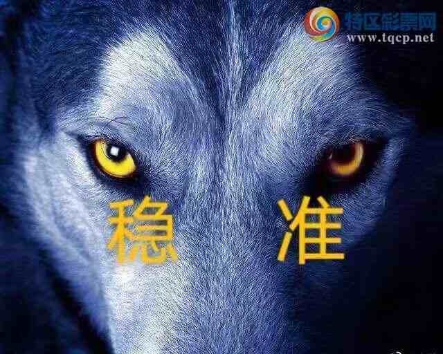 [] 25333ڣɱͷͷOKޣʵɣ430 / :ʮ˹ / ID:1178342