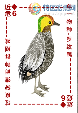 [����3D] 25334�ڣ�ɽ����������Ȼ ���������׳�������ա�943 / ����:�¸���ǰ_ / ����ID:1179405