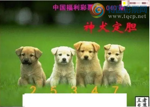 [����3D] 26040�ڣ�����ǧ�챨���������ա�256 / ����:�ǿ��Ƽ� / ����ID:1211880
