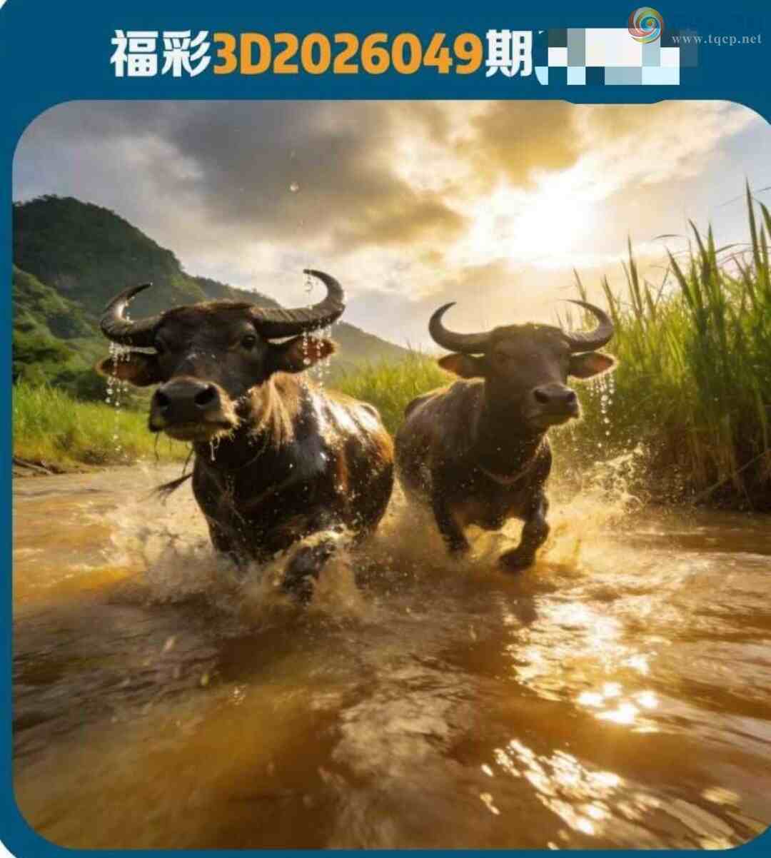 [����3D] 26049�ڣ�����3D һ��֮�ơ����ա�910 / ����:���ٷ� / ����ID:1216860