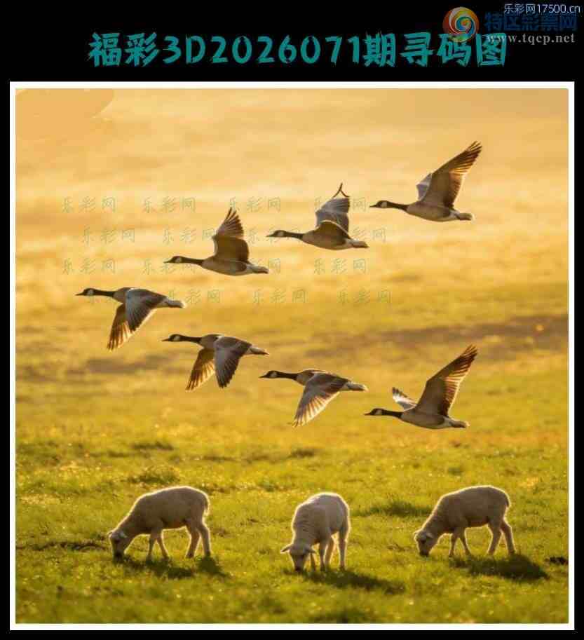 [����3D] 26071�ڣ����ƽ�Ϊһ�� �����е�ȡ���������ա�578 / ����:ɭ�����տ� / ����ID:1229582