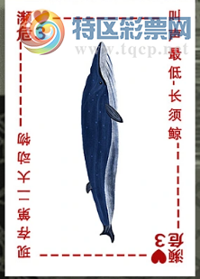 [����3D] 26074�ڣ��ֻ�δ����͵�� ������Ӧ�ع�ת�����ա�171 / ����:�ǿ��Ƽ� / ����ID:1231296